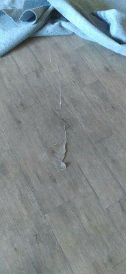 This is the damaged flooring he hasn't paid for and told the insurance company not to pay. $100.