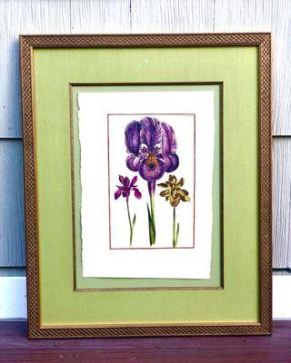 Antique botanical custom framed with the respect it deserves.