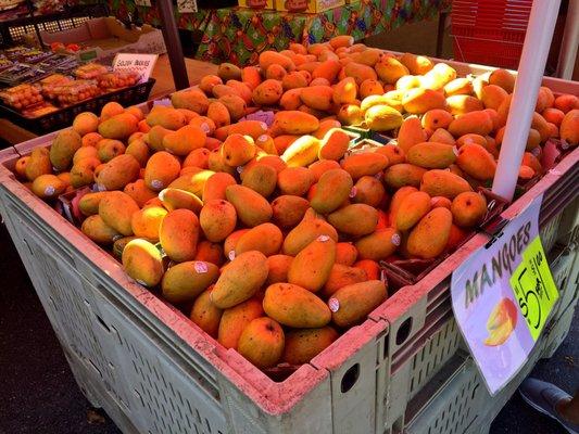 Mangoes - 5 for $1