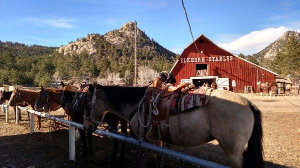 Booked 1 hour horseback ride