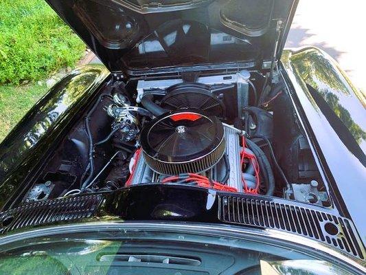 MY CORVETTETTES ARE KEPT LOOKING AND RUNNING LIKE NEW AT ROLLINGS AUTOMOTIVE