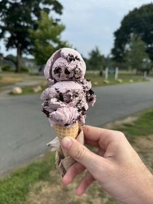 Captain Dusty's Ice Cream