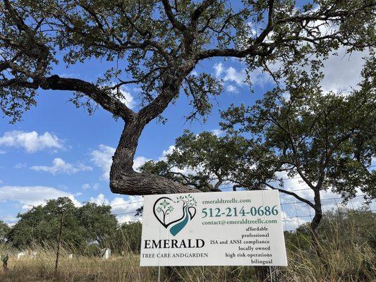 Emerald Tree Care and Garden