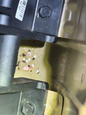 Mouse droppings in new CPO Kia EV6