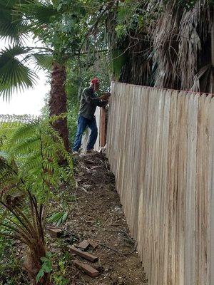 this an old fence I'm repairing it the only new thing of all is this are the posts and the two by four and everything is the same old