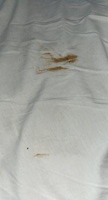 Pulled the sheets back to find this brown smear and spots on the sheets... disgusting!