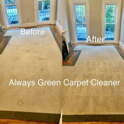 Carpet Cleaning