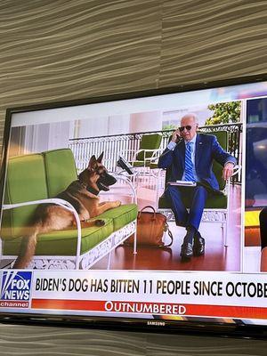 Biden's dog bites an 11th person! Hope they can recover at Manor Care!