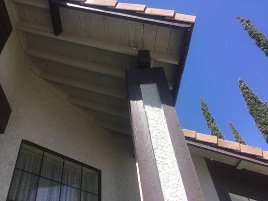 The bee colony is at the top of the column about 15 feet off the ground...