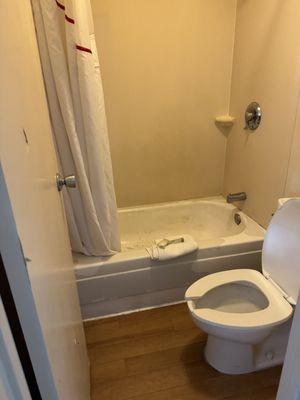 Gross bath tub /shower