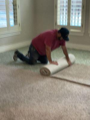 Rolling up old carpet to prep for wood floors