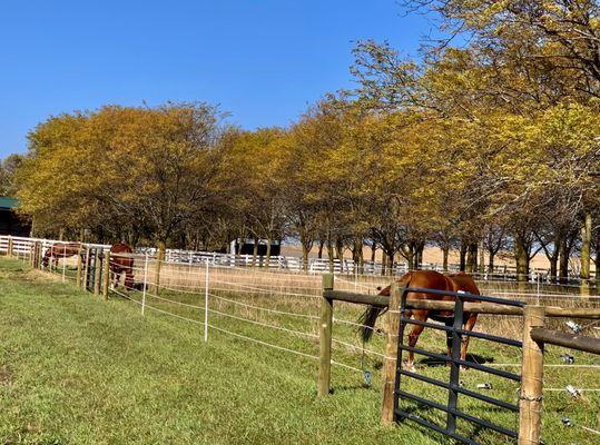 Silver Creek Stables