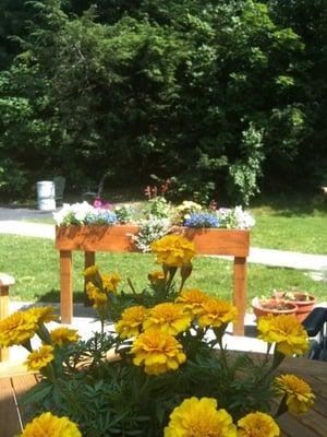 Wheel chair garden