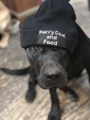 Perry Coal & Feed Co