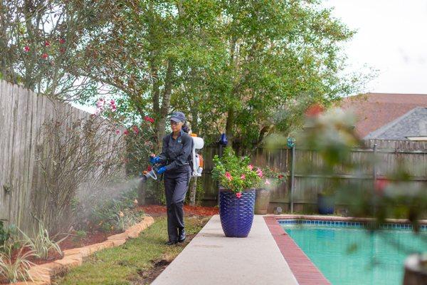 Our mosquito control methods will keep you and your family safe from mosquitoes year-round. 