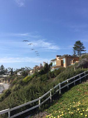 Careful. The seagulls constantly are circling, looking to snatch YOUR food. :)