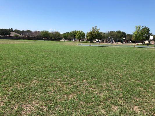 Lots of green space behind the park