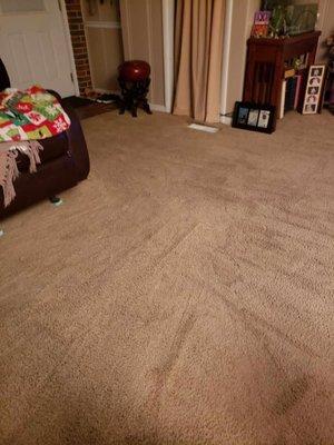 This is the same carpet after the Wife ran a carpet shampooing machine over it. It looks clean no thanks to Stanley Steemer!