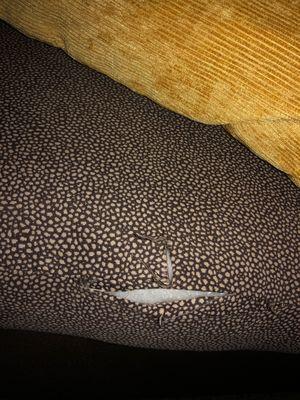 Tear in sofa cushion