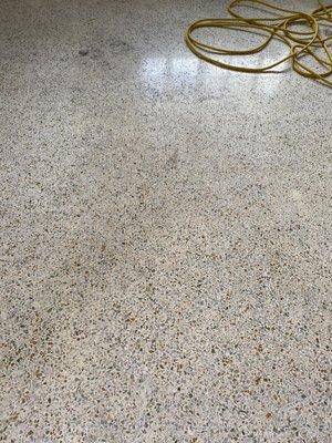 Concrete restoration and sealing