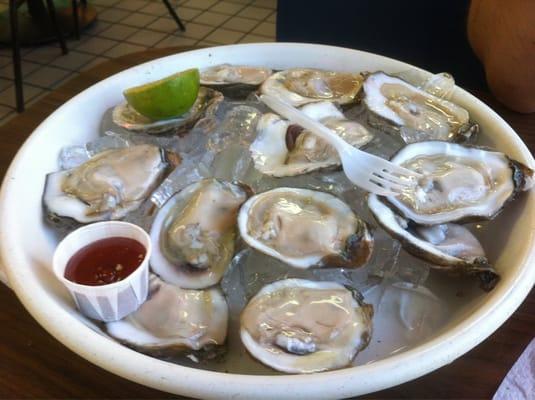 A dozen oysters on the half-shell