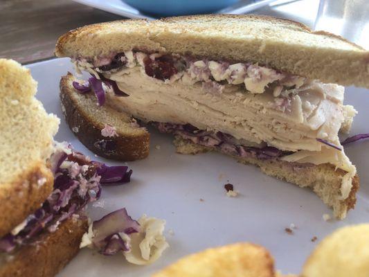 Blueberry cranberry turkey sandwich- yum!