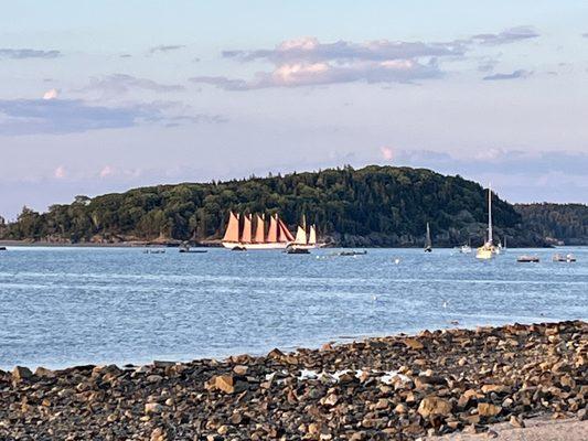 Sunset at Bar Harbor Island trail (1/2 mile walk from the hotel).