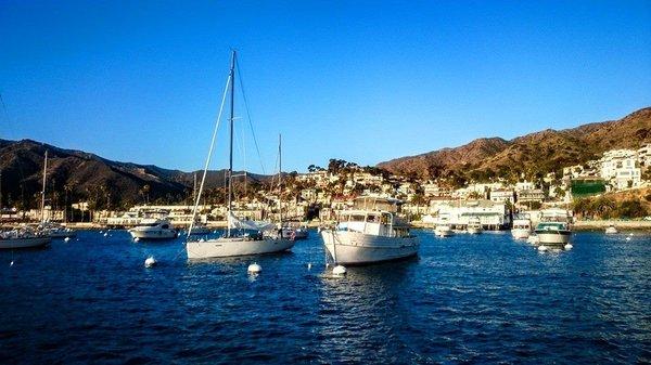 Scuba in Catalina with House of Scuba