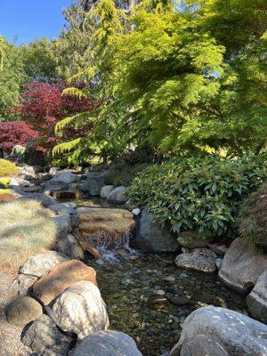 Back or hotel water features