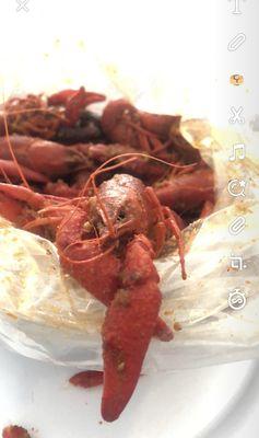 Had 3 lbs of boiled crawfish for $8 per pound.