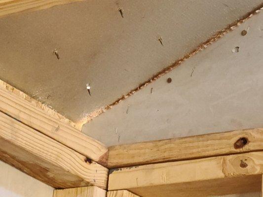 Light can be seen from inside of shed at the roof