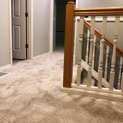 Residential Carpet Installation Project [2 of 10]