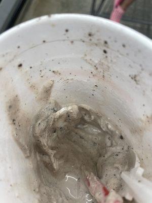 Broken styrofoam in the milkshake I got