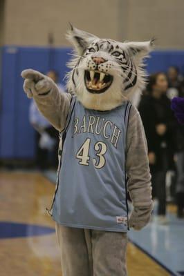 Baruch's mascot - the Bearcat