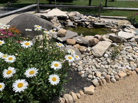 Pond and fountain (and frogs!) in the native plant garden outside the clinic door.