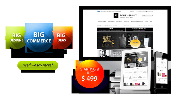 Bigcommerce store design