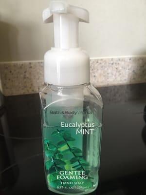 Foaming Hand Soap in Eucalyptus Mint