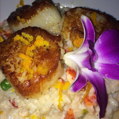 Lobster, scallop, orange zest risotto. Amazing!