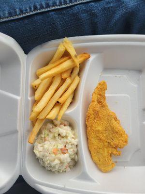 Catfish 2pc closlaw and fries