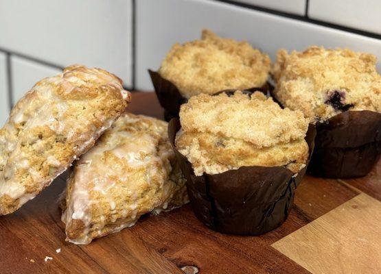 Sweet treats, blue berry muffins and praline scones.