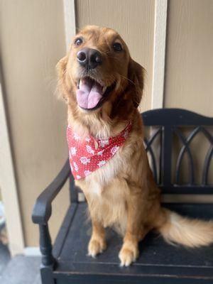 Sunny happy after her groom:)