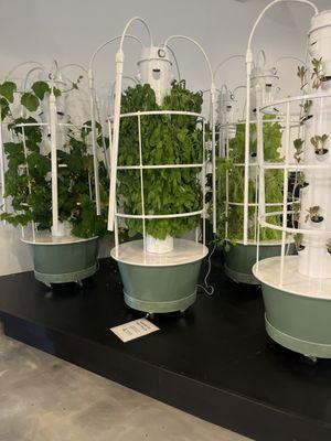 Tower garden