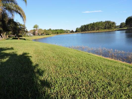 Jacksonville Sod Service