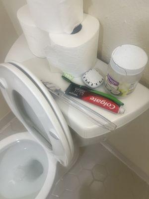 Cleaning staff put toothbrush on the toilet.