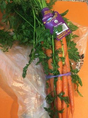 Organic Carrots