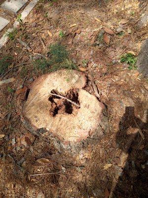 Stump removal