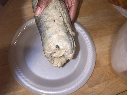 Mold on my burrito !!!