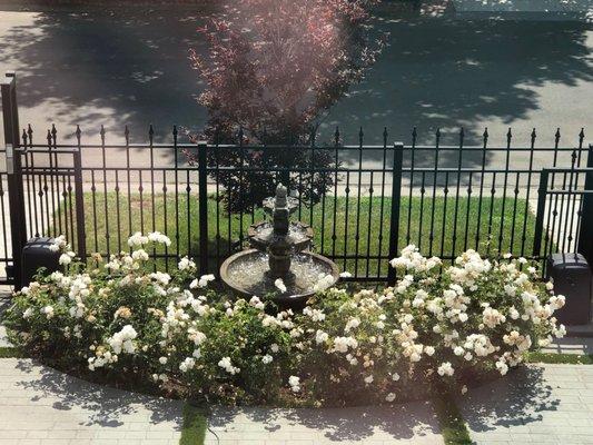 Our fountain in front yard. B&K ran the electrical and buried all the wiring. Super happy.