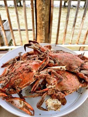 Large crabs. Meaty and sweet.