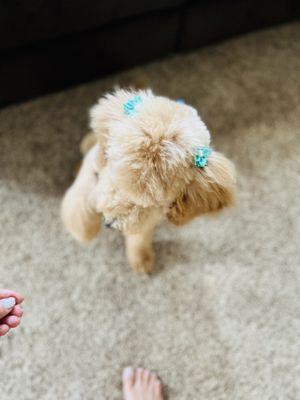 Ginger hair barrette love it !!